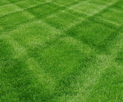Sharp mower blades are vital in preventing turf disease during hot, steamy conditions.