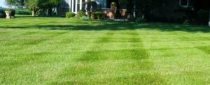 Healthy color at Memorial Day means your lawn has properly responded to good practices alike aeration and fall feeding.
